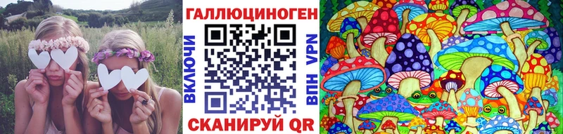 Псилоцибиновые грибы Cubensis  Ржев 
