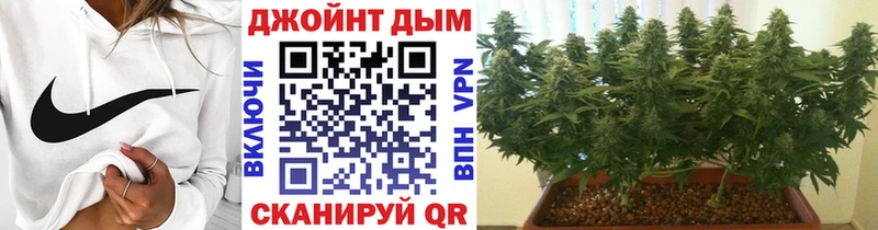 купить наркотики цена  Ржев  Шишки марихуана LSD WEED 